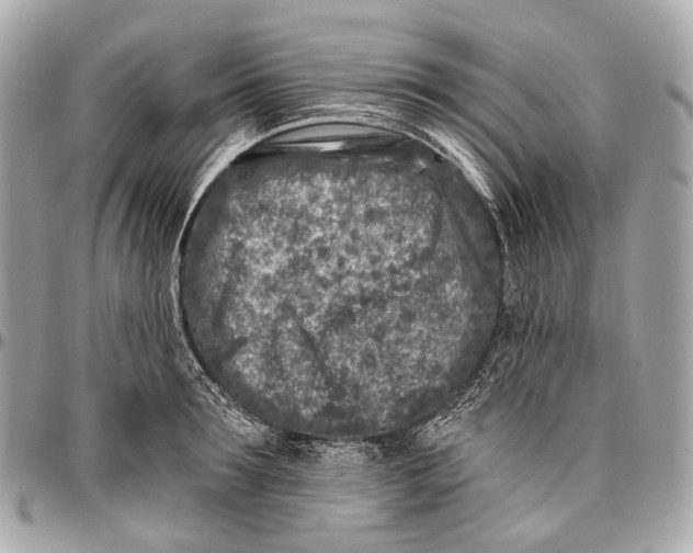 X0000096450899200802071808