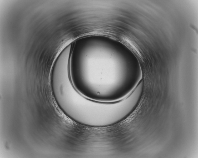 X0000096450900200802071808