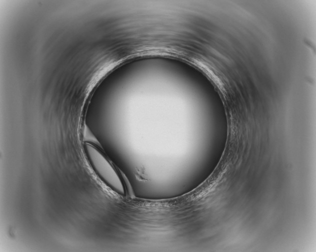 X0000096450901200802071808