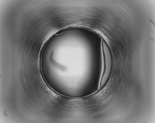 X0000096450902200802071808