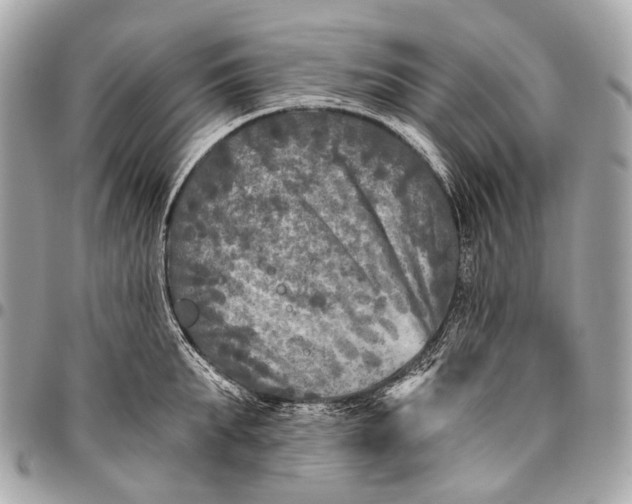 X0000096450903200802071808