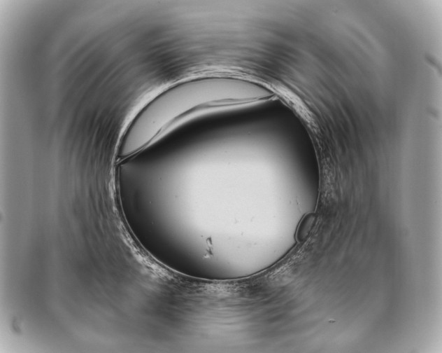 X0000096450904200802071808