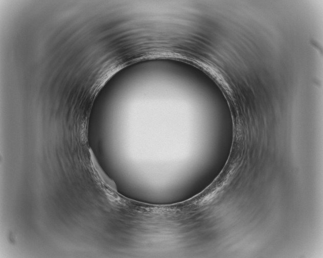 X0000096450905200802071808