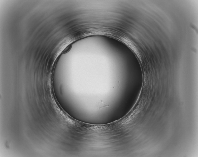 X0000096450906200802071808