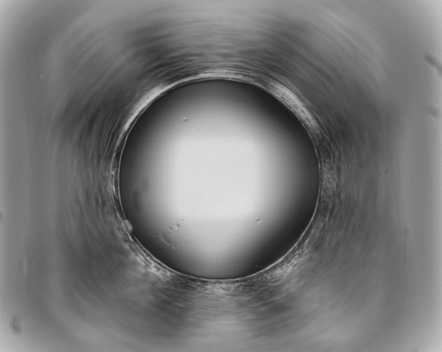 X0000096450908200802071808