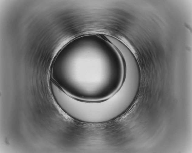 X0000096450909200802071808