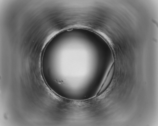 X0000096450910200802071808