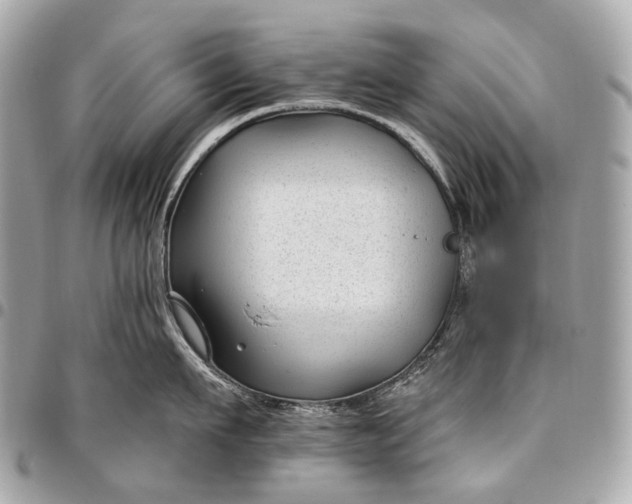 X0000096450911200802071808