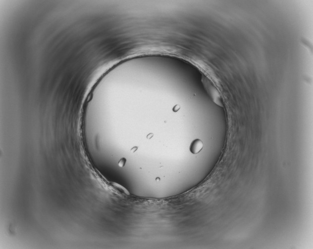 X0000096450912200802071808