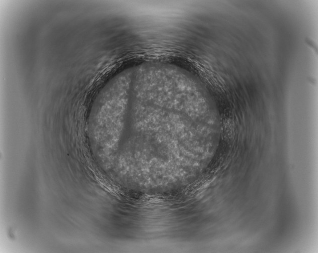 X0000096450913200802071807