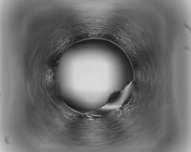 X0000096450914200802071807