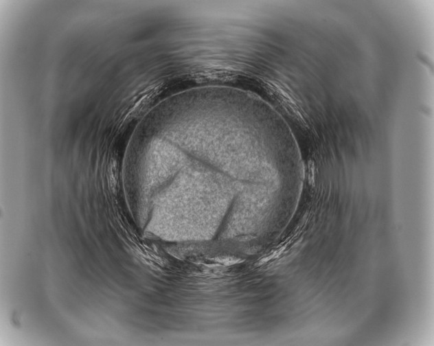 X0000096450915200802071808