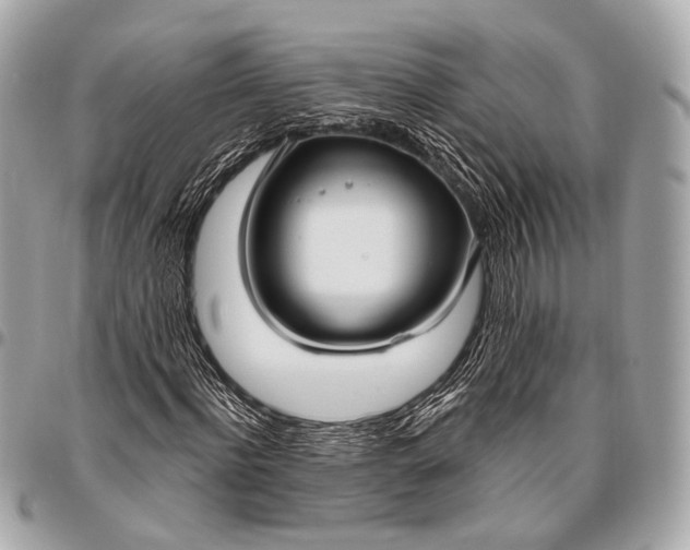 X0000096450916200802071808