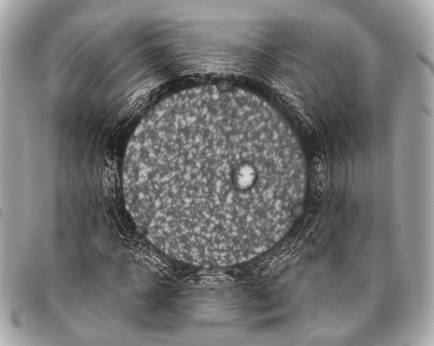 X0000096450918200802071808