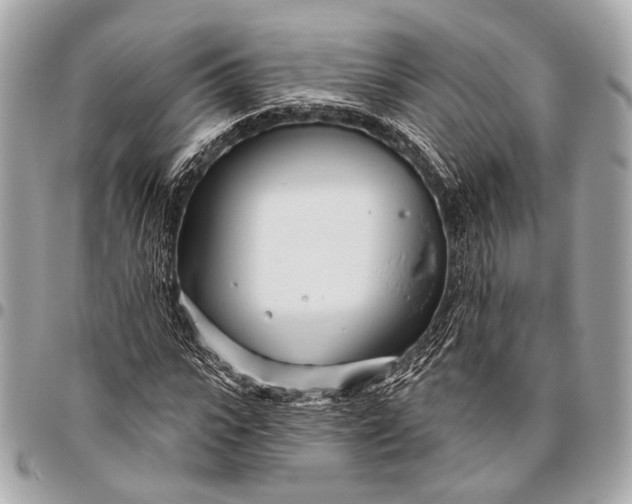 X0000096450919200802071808