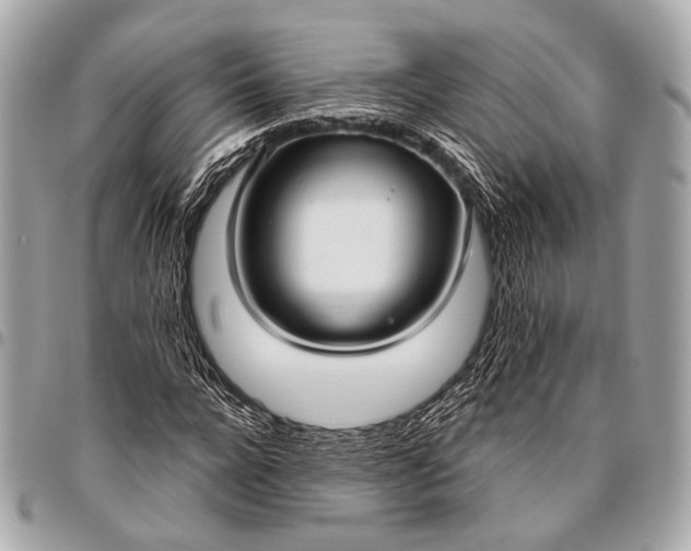 X0000096450920200802071808