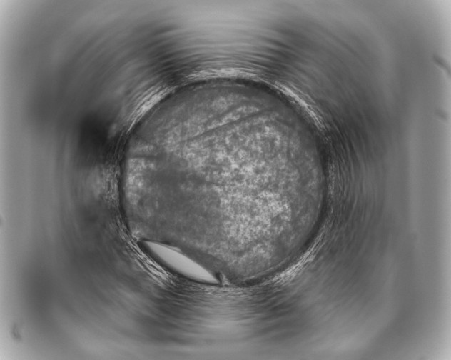 X0000096450921200802071808