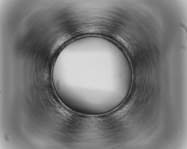 X0000096450922200802071808