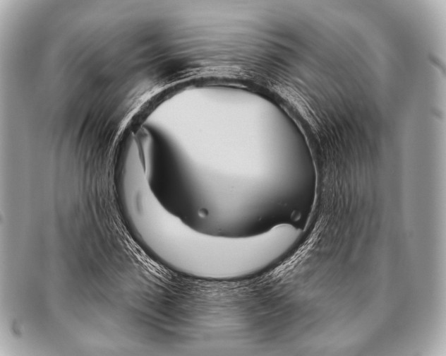 X0000096450923200802071808