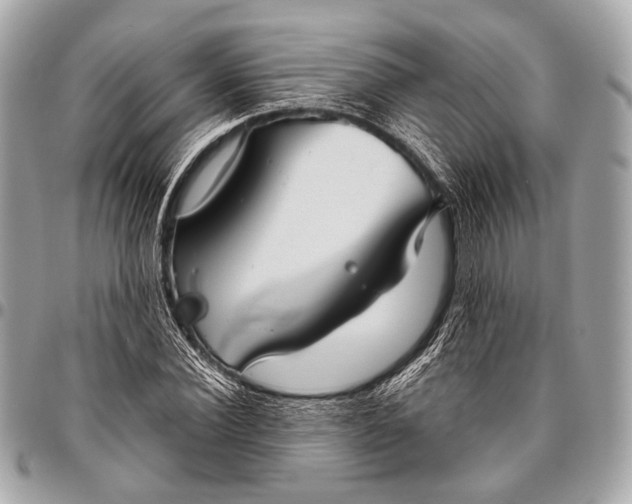 X0000096450924200802071808