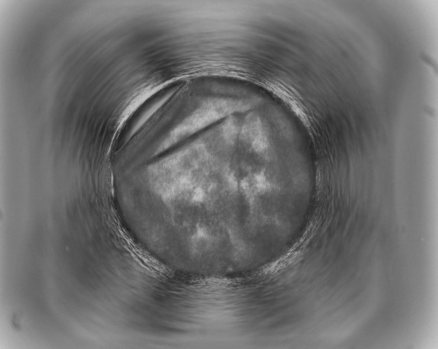 X0000096450925200802071808