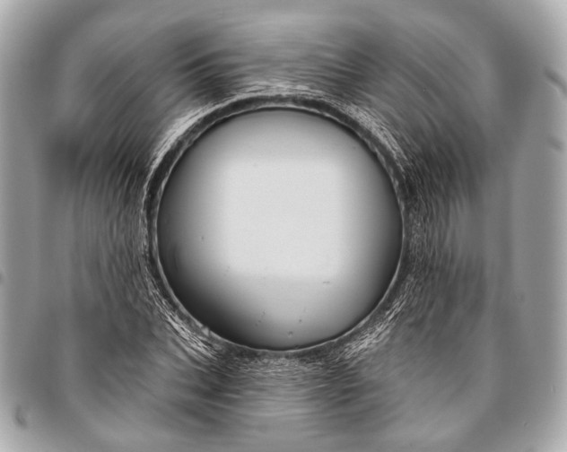 X0000096450927200802071808