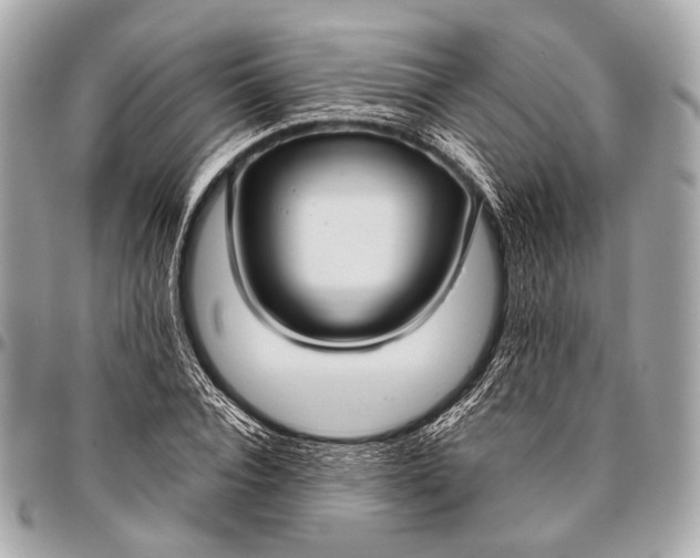 X0000096450928200802071808