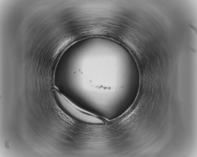 X0000096450930200802071808