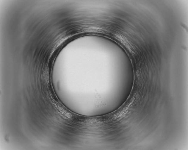 X0000096450931200802071808