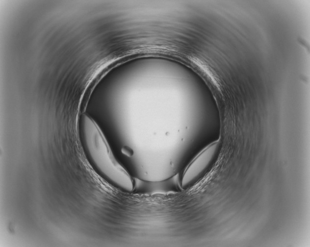 X0000096450932200802071808