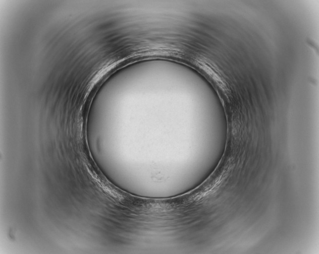 X0000096450933200802071808