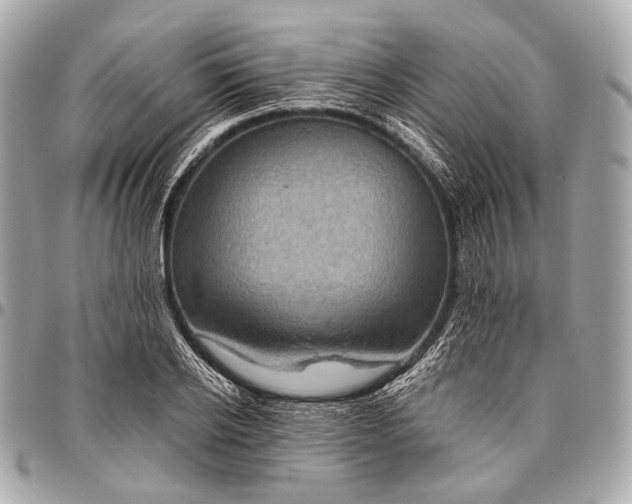 X0000096450934200802071808