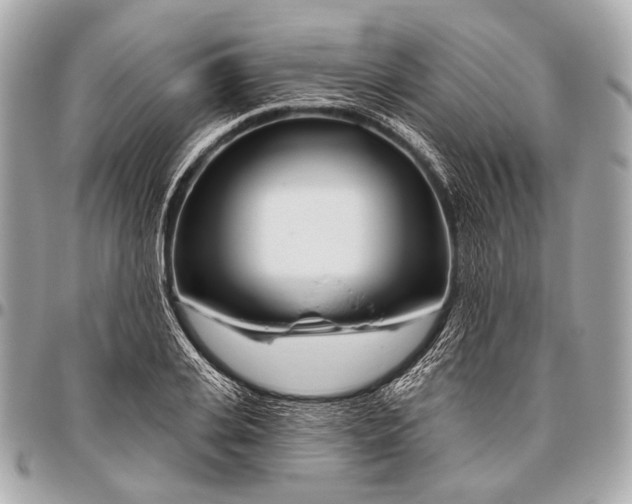 X0000096450935200802071808