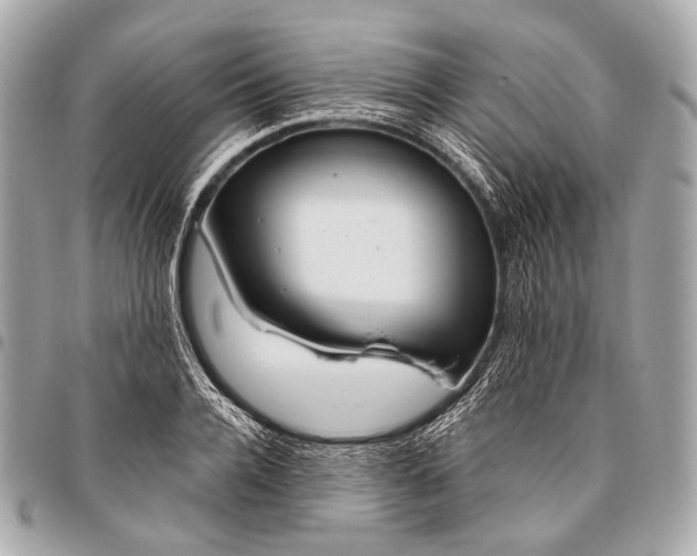 X0000096450936200802071808