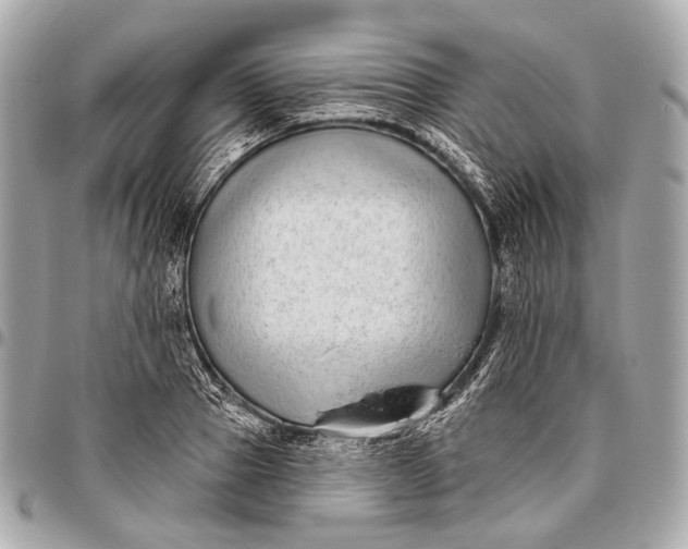 X0000096450937200802071808