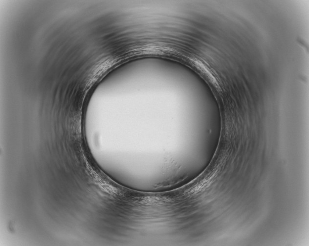 X0000096450938200802071808