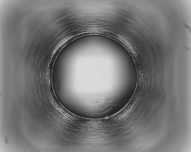 X0000096450939200802071808