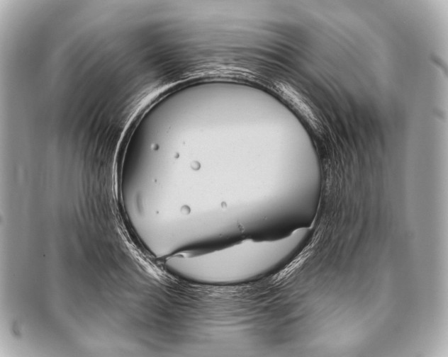 X0000096450940200802071808