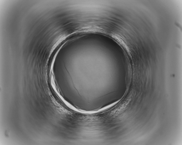 X0000096450941200802071808