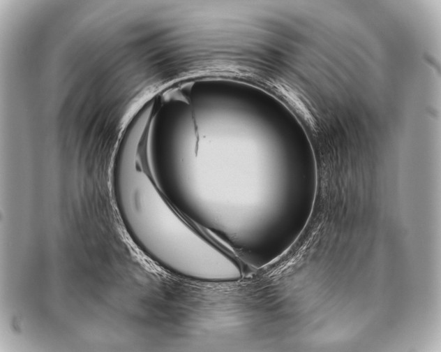 X0000096450944200802071808