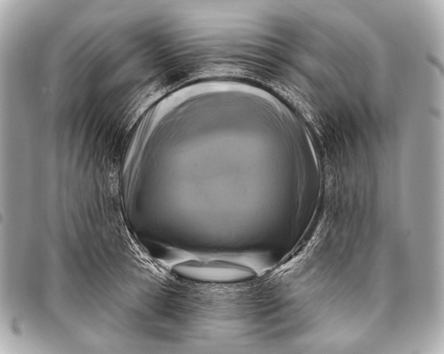 X0000096450945200802071808