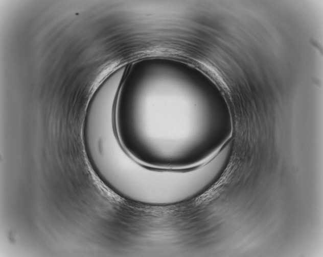 X0000096450946200802071808