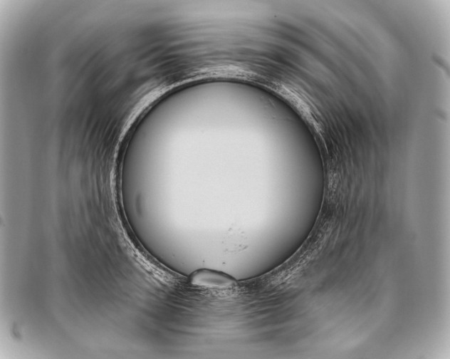 X0000096450947200802071808