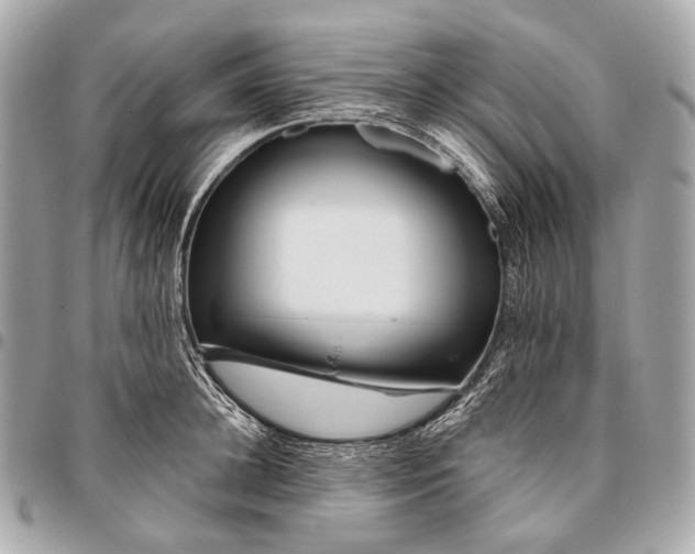 X0000096450948200802071808