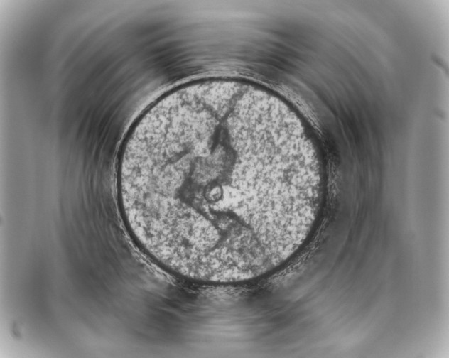 X0000096450950200802071808