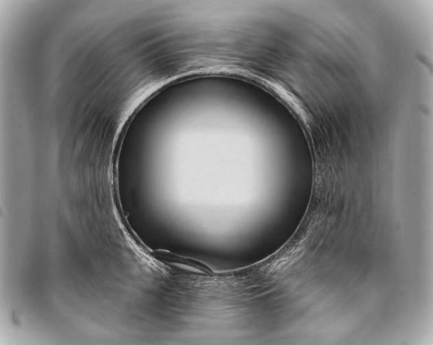 X0000096450951200802071808