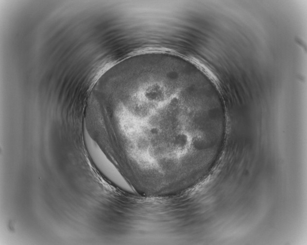 X0000096450953200802071808