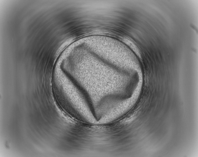 X0000096450954200802071808