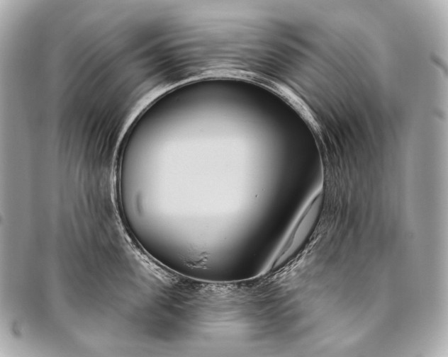 X0000096450955200802071808