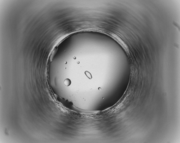 X0000096450956200802071808